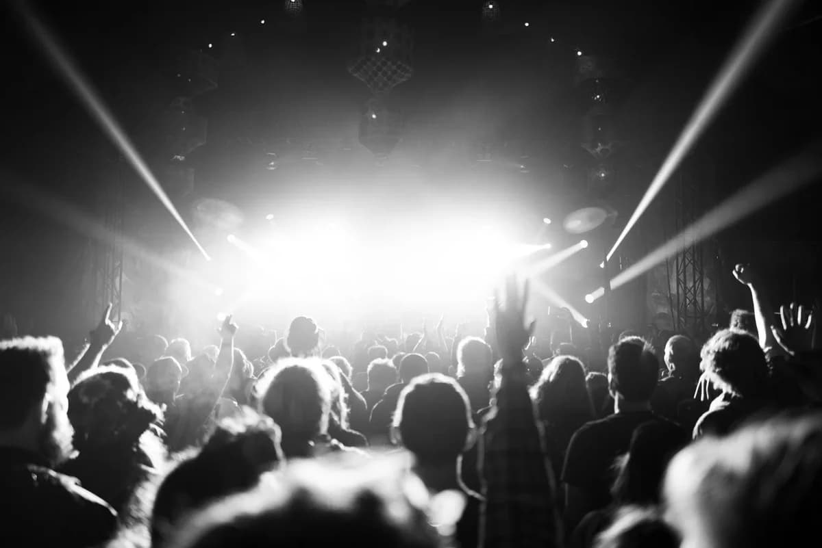 Black-and-white crowd at a concert with bright stage lights