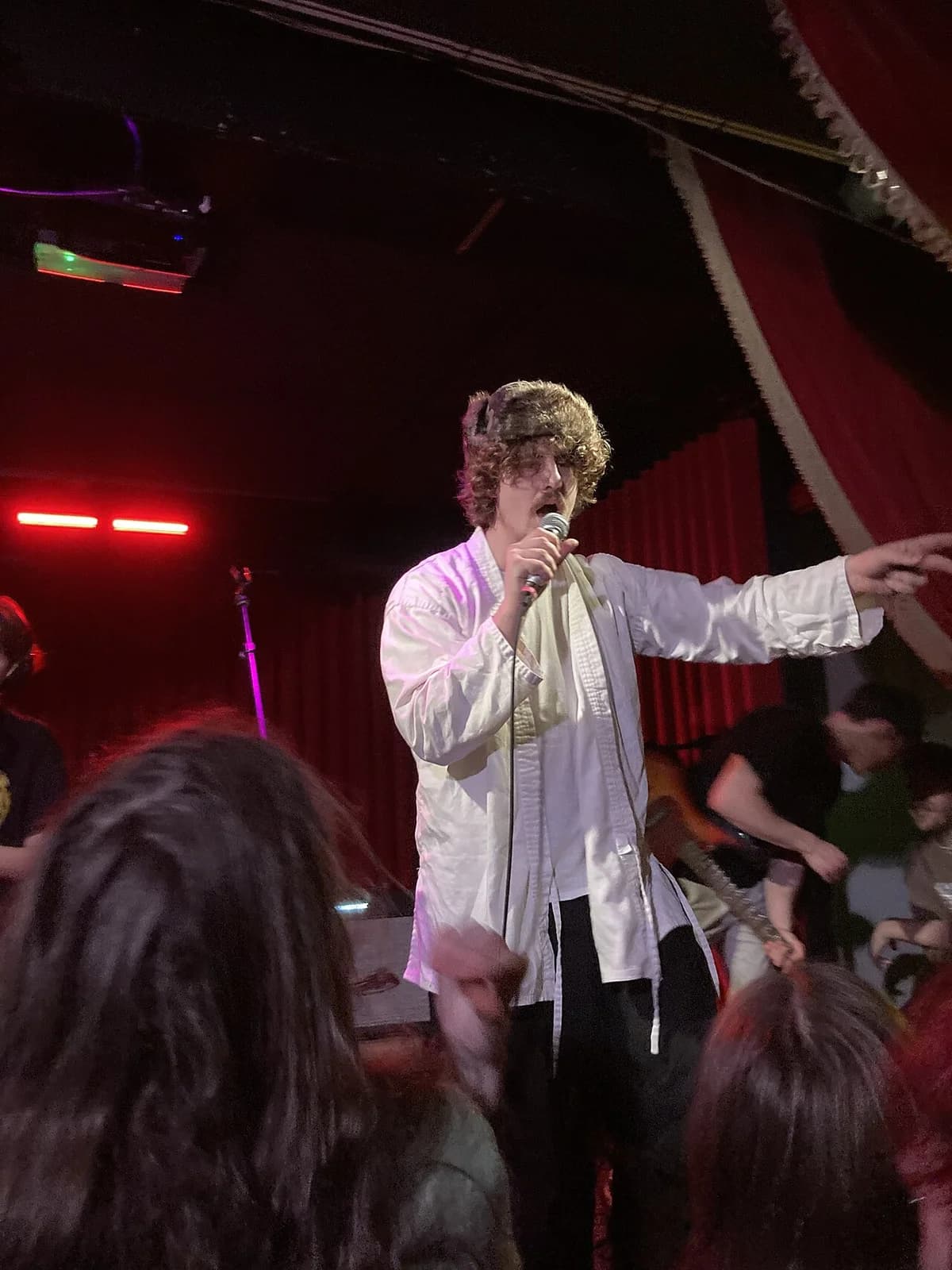 A singer performs on stage at a live concert.