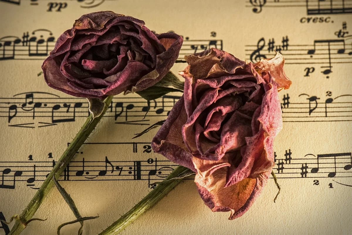 Two dried roses resting on old sheet music.