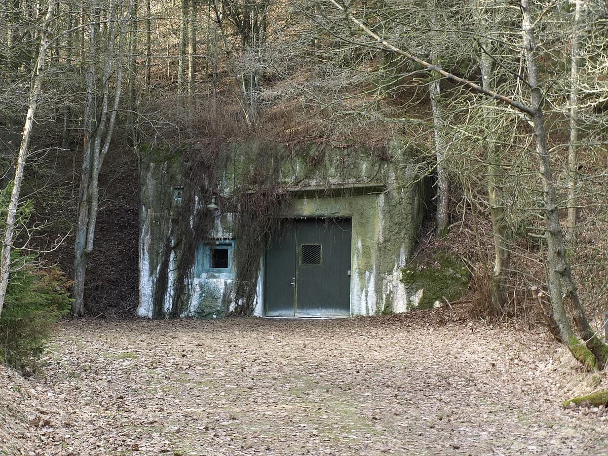 A concealed bunker entrance in a wooded hillside
