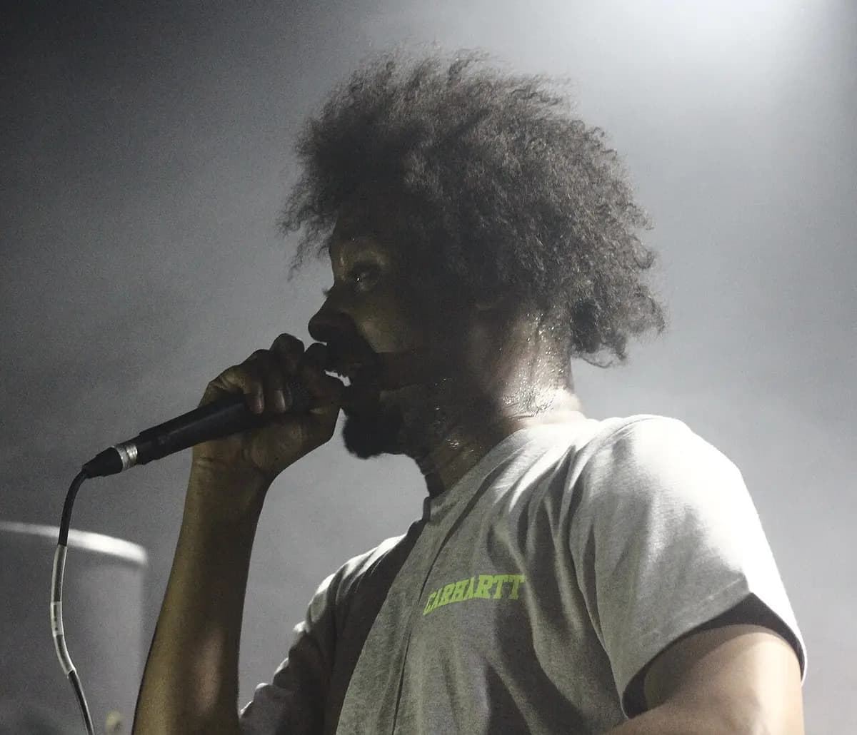 Danny Brown rapper.jpg