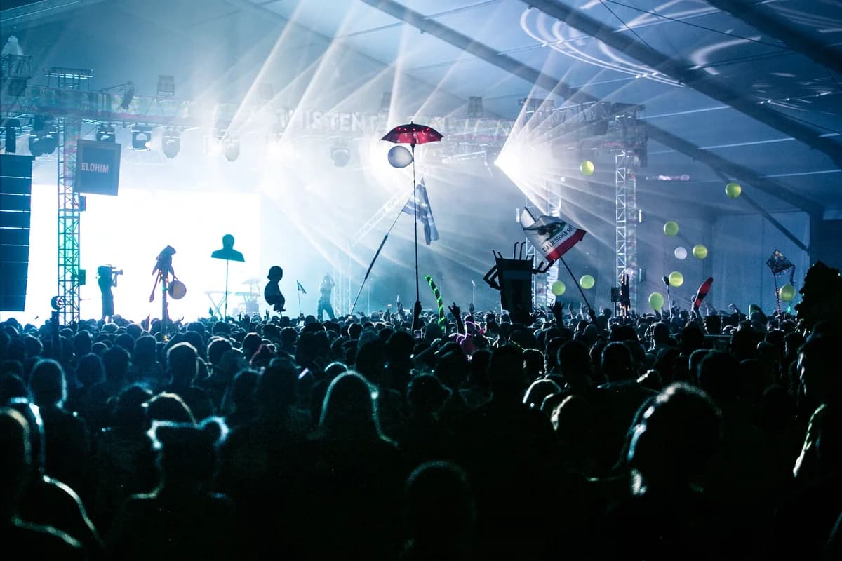 crowd at concert with lights and decorations